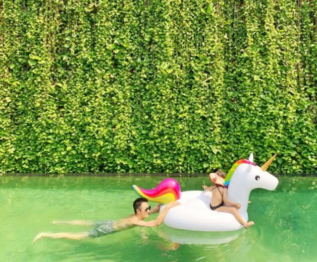 陈浩民一家三口游泳保护女儿画面父爱爆棚娇妻身材撩人心扉