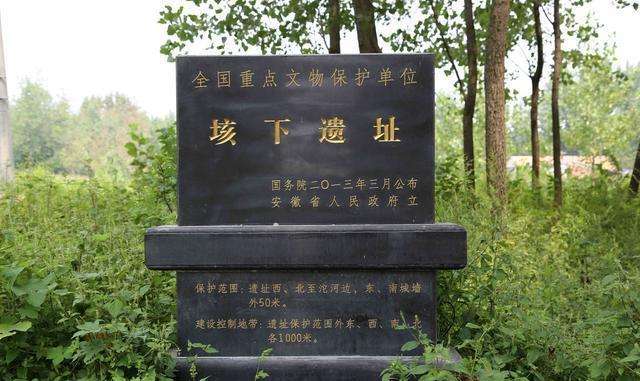 东平霸王墓图片