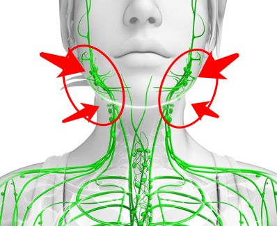 面部淋巴回流图图片