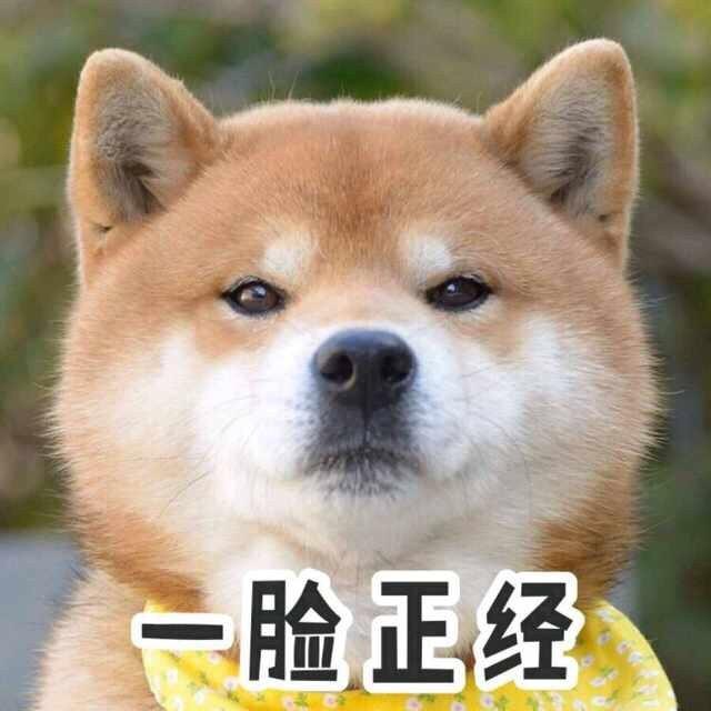 微信柴犬emoji图片