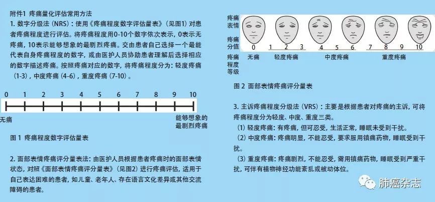 2. 患者一般情况评估(karnofsky评分)