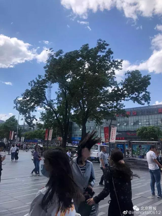 昨天北京遇8级以上大风4人离世