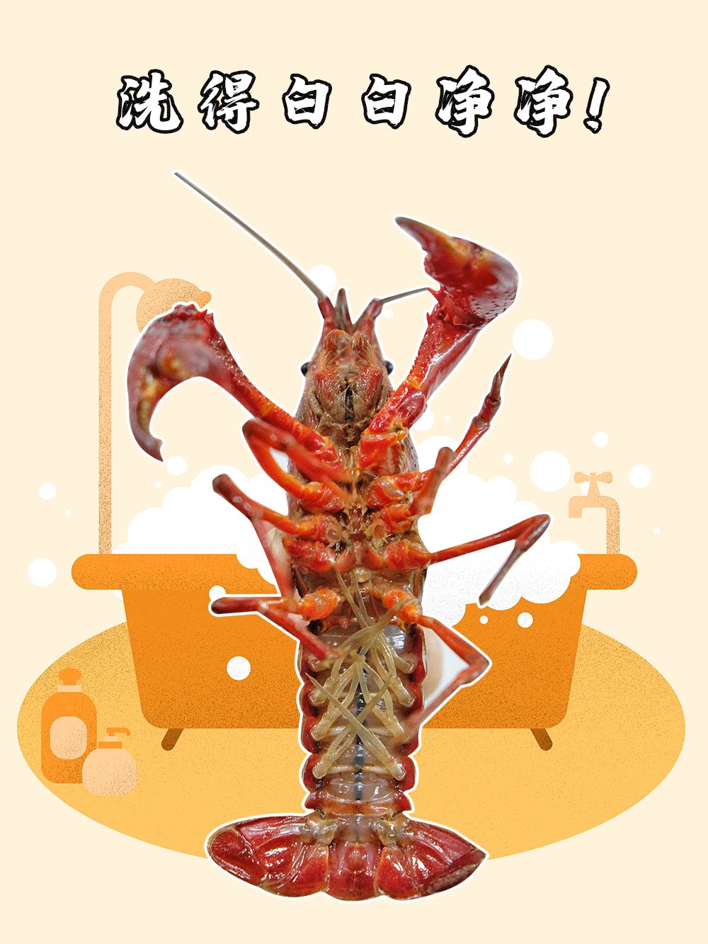 正宗湖北潜江小龙虾来啦个大黄多只只q弹