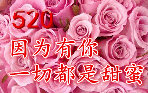 500_313gif 动态图 动图