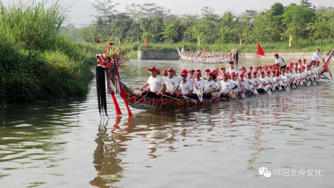 今天新溪村下尾张村龙舟下水四龙顺江