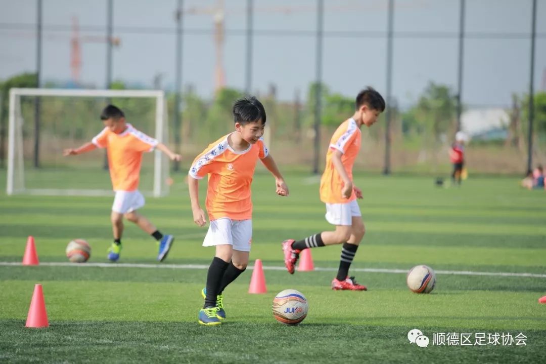 2019年北滘镇社区足球公益培训班火热开课