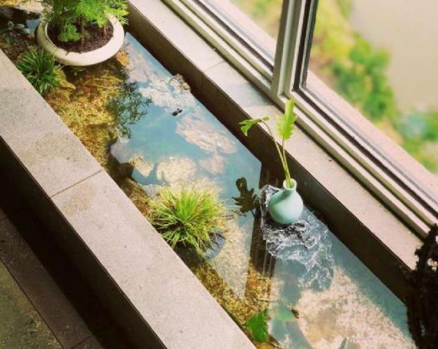 老公在阳台做了个40cm宽的池子阳台变花园装完邻居都羡慕