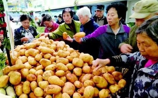 【薯讯】甘肃白银新鲜土豆上市价格平易近人