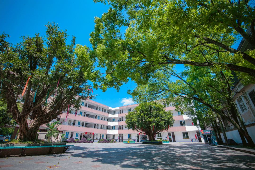 最新苍南县第一实验小学招生工作方案