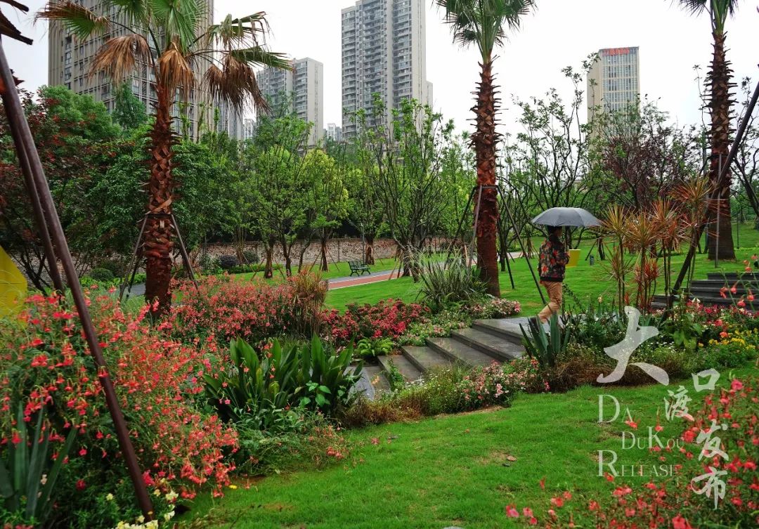 中華美德公園,心湖北體育文化公園心湖公園,大渡口公園讓人不禁眼前一