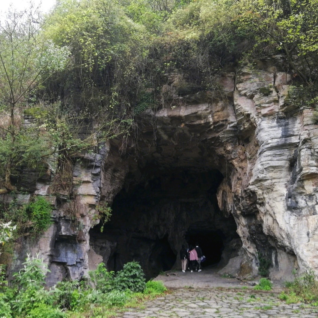 格凸河景区:格凸河长约7公里,两端为暗河,上游为天星洞,洞高110米,宽