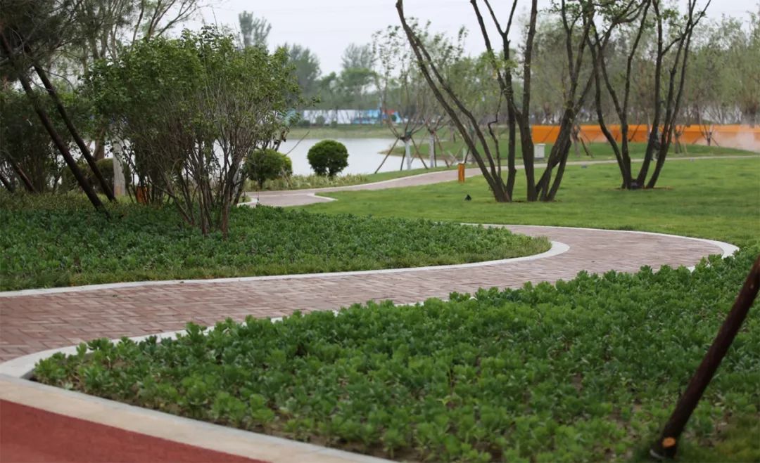 廊坊龙河中央公园开园占地200亩美到不想回家