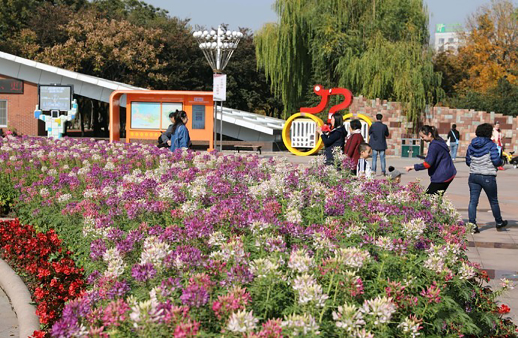 原創城陽世紀公園在青島值得來的閒遊之地閒遊拍照曬太陽的好地方