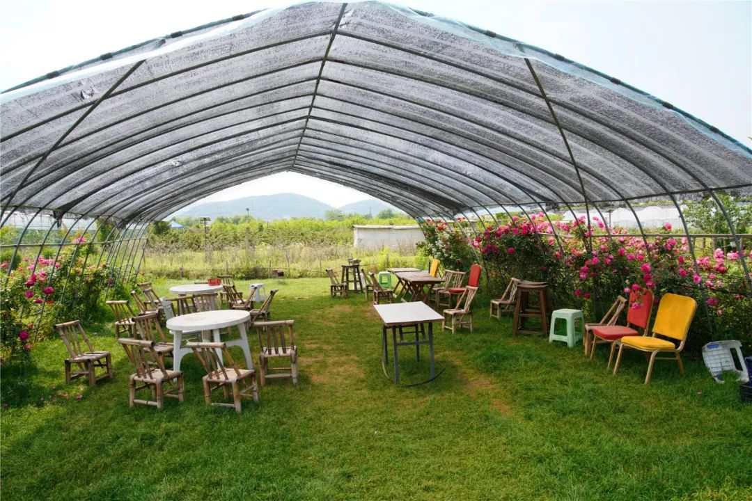 10000斤大樱桃来袭锡东这个农场又要人人人从众啦