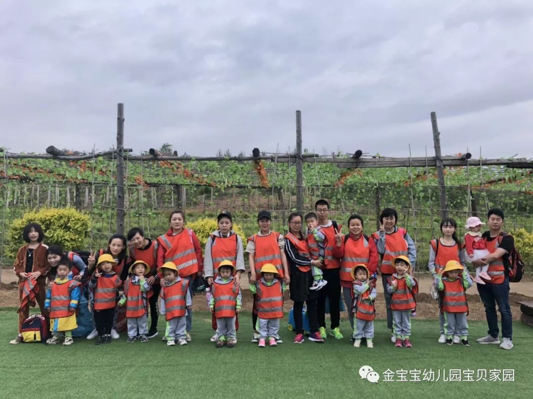 金寶寶幼兒園《親子春遊》活動