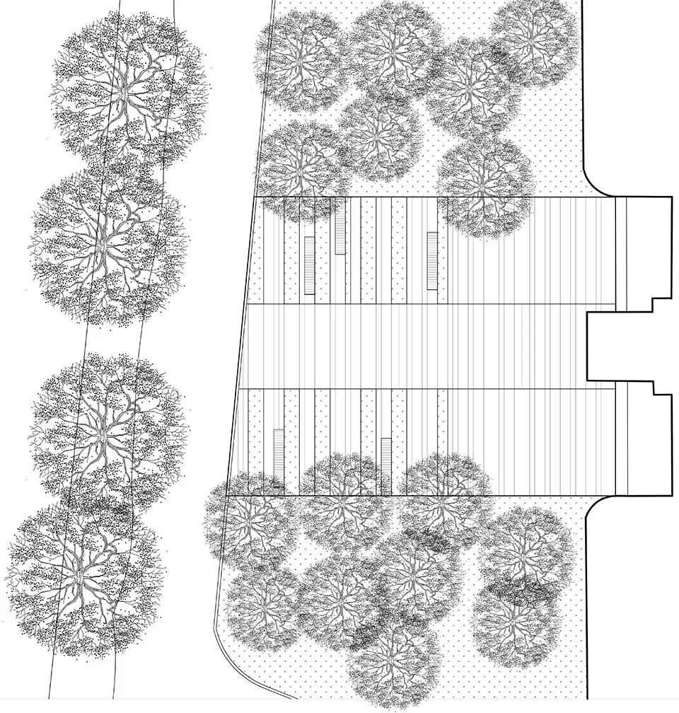 四個停車場地創造綠色空間同濟大學四平路校區景觀微更新