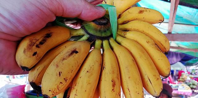 柬埔寨的水果奇形怪状,敢买也不敢吃