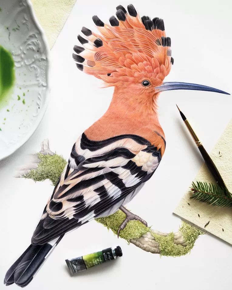 美丽的彩色鸟真赏心悦目