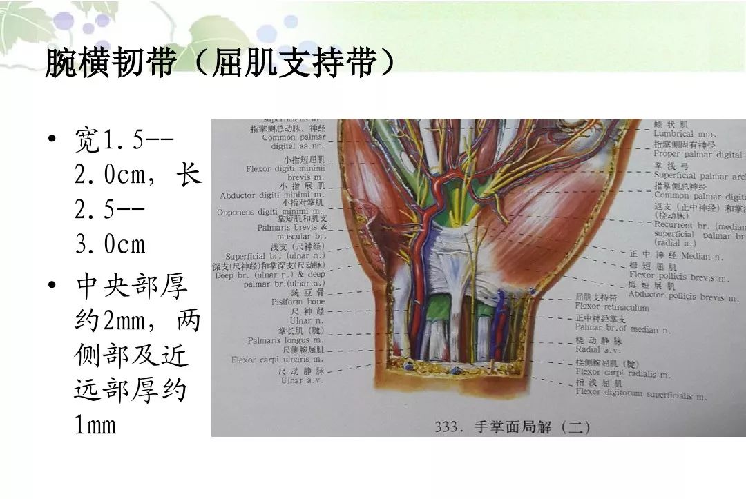 针刀治疗腕管综合征