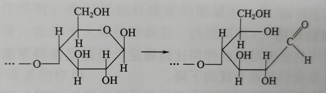 其一端有四個自由羥基,另一端有三個自由羥基和一個半縮醛羥基(稱為