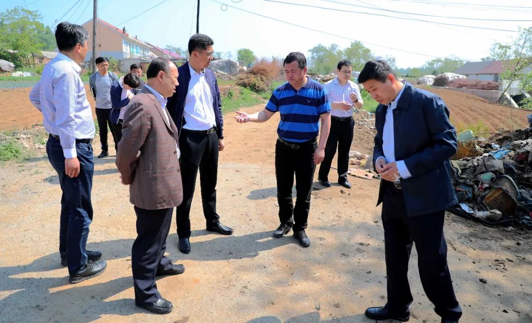 庄河市长谢德洋调研创卫及农村环境卫生整治工作