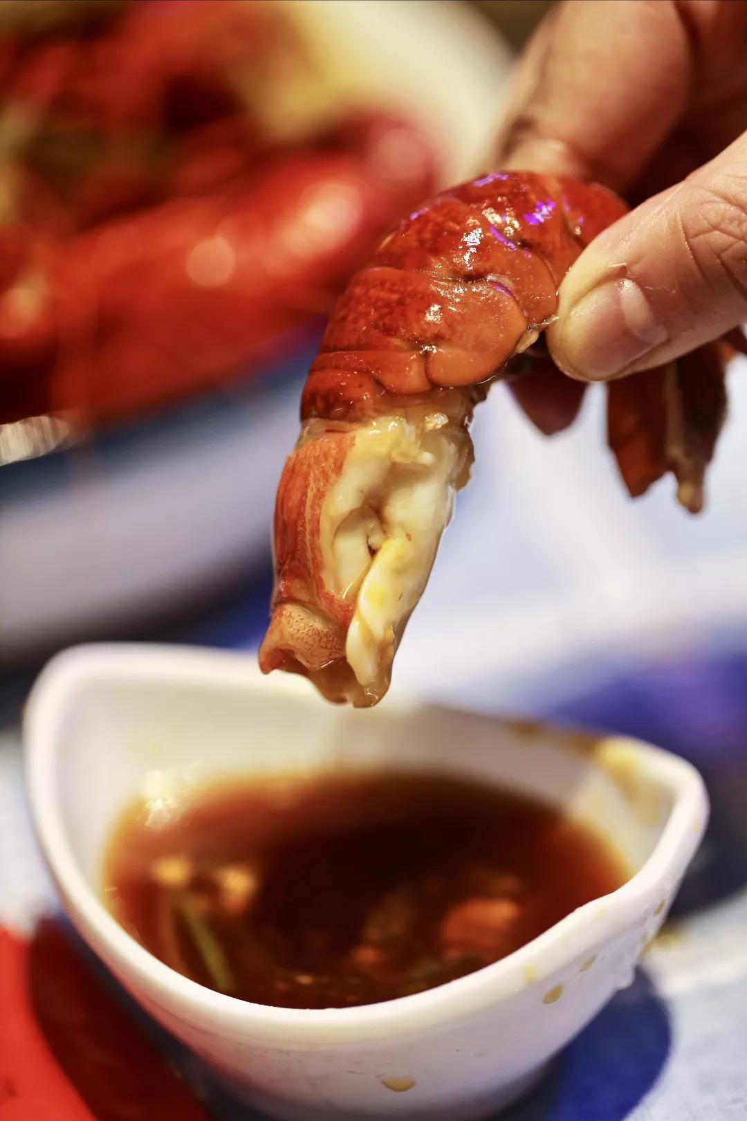 ​蓝龙虾的分子结构与普通龙虾不同个头大壳薄肉厚出肉率奇高