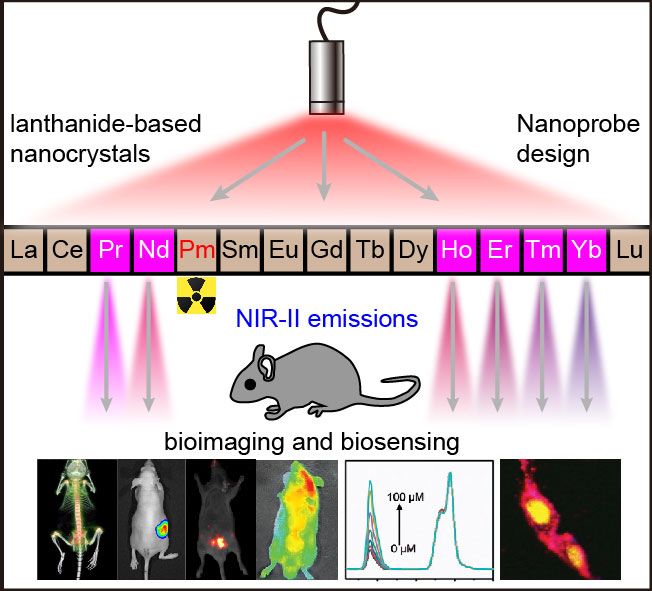 materials:新一代近红外二区荧光探针——稀土掺杂纳米晶用于生物成像