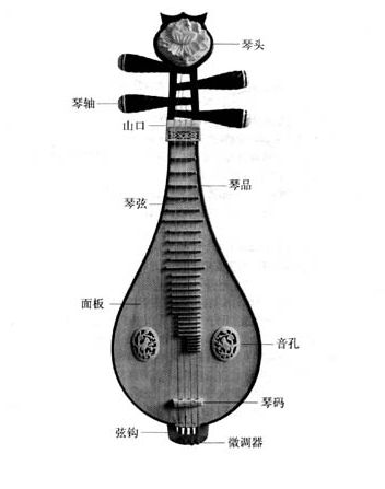 柳琴品位图解图片