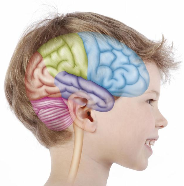 结核性中耳乳突炎治疗措施