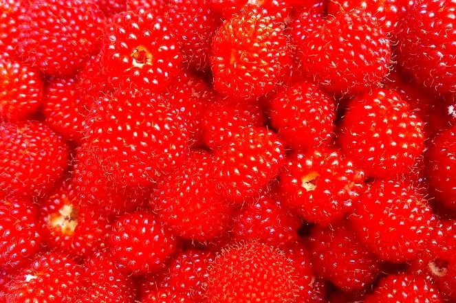 哇利川刺泡儿红哒你有好久没吃啦