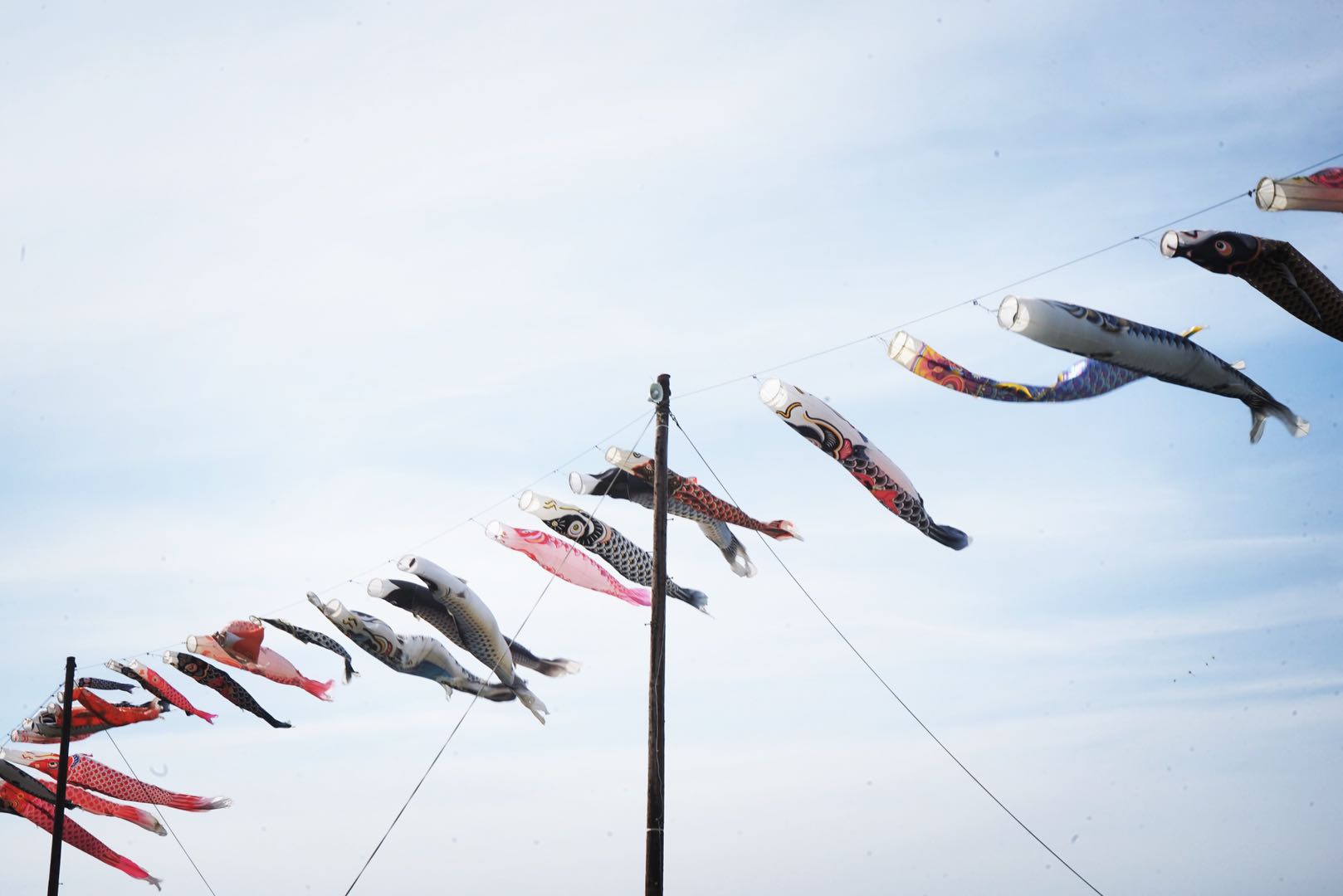 原创惊呆了多图实拍日本庆祝儿童节放飞950公斤大风筝