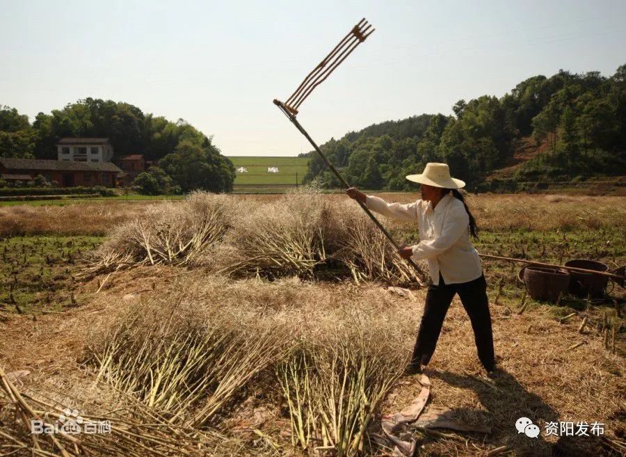 据说早在先秦时期就已经发明了,最初用作守城,后来才逐渐用作农具
