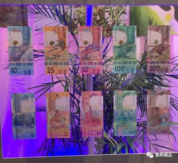 超漂亮荷兰阿鲁巴新版纸币亮相