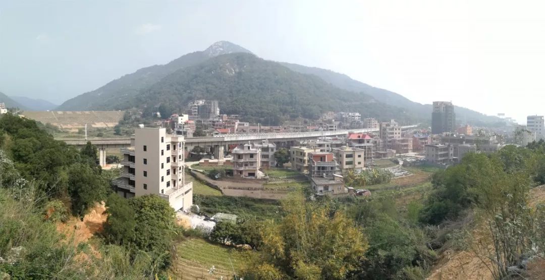 市委书记王春金带队到水头检查农村人居环境整治工作推进情况