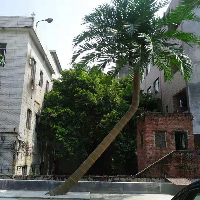 广州仿真椰子树树装饰绿之源feel