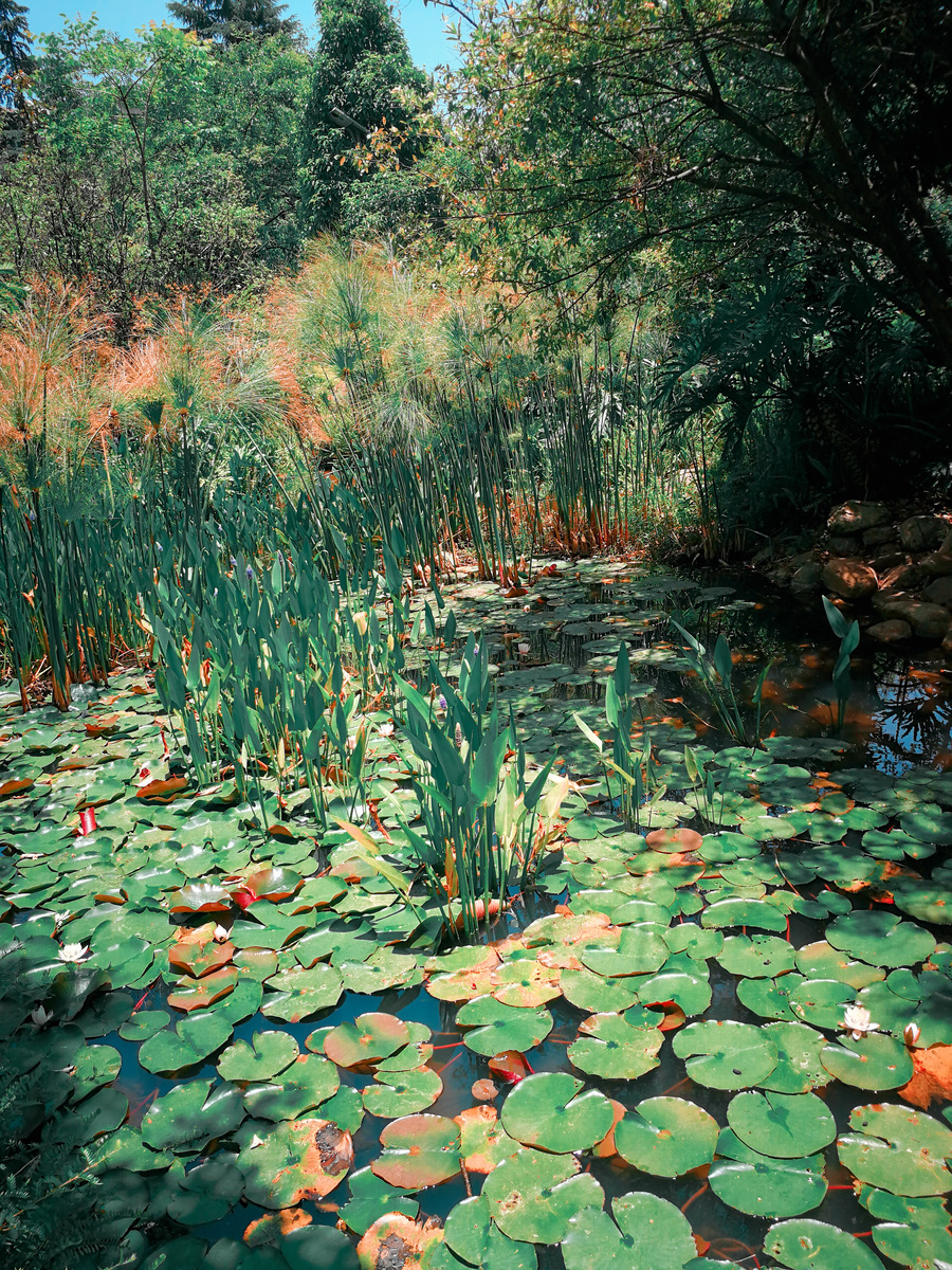 图虫静物摄影:无题