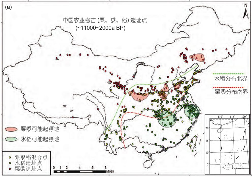 雨菠讀史札記之四栽培水稻在中國的源起