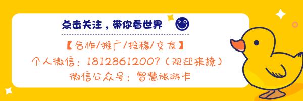 第29次全国助残日活动圆满成功莞邑市民为爱而购