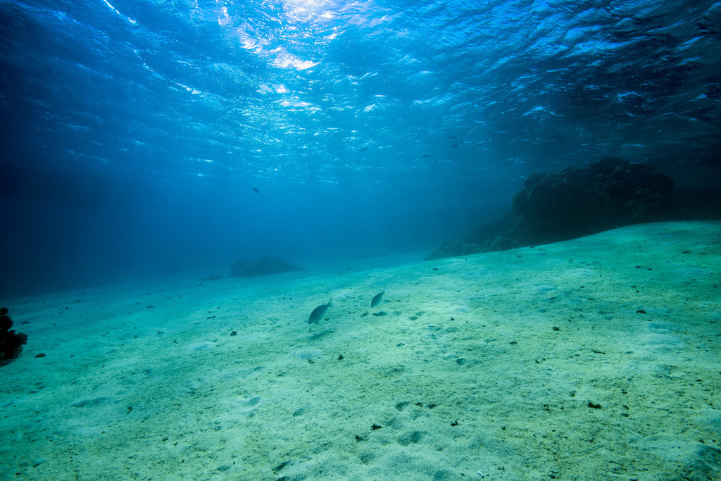 巨头布局已成市场格局未定新零售或已进入深水区