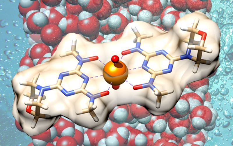 新型生物启发材料:可用于从海水中提取铀!