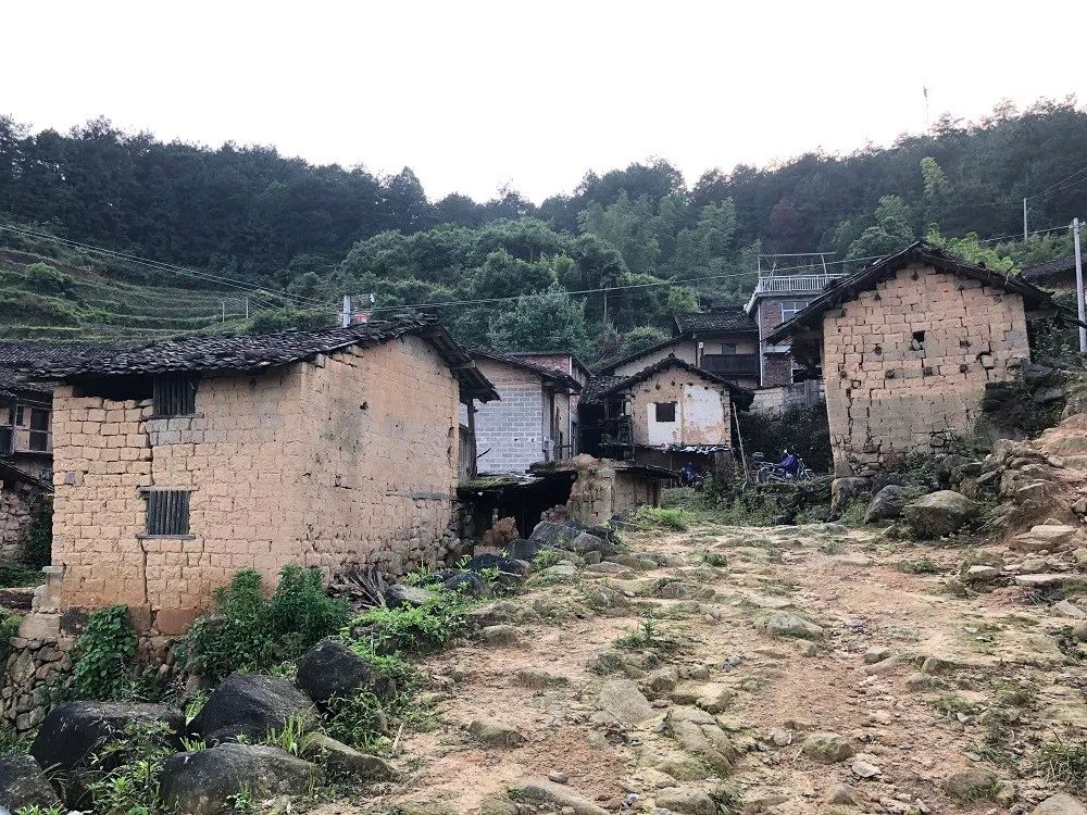 99爱公益形走远方第12期3个学生的故事走进江西兴国枫边乡立新小学