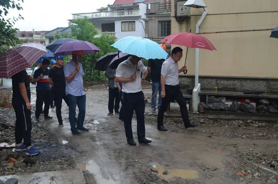 高标稳步推进】县领导督查"污水零直排区"建设工作_吕田