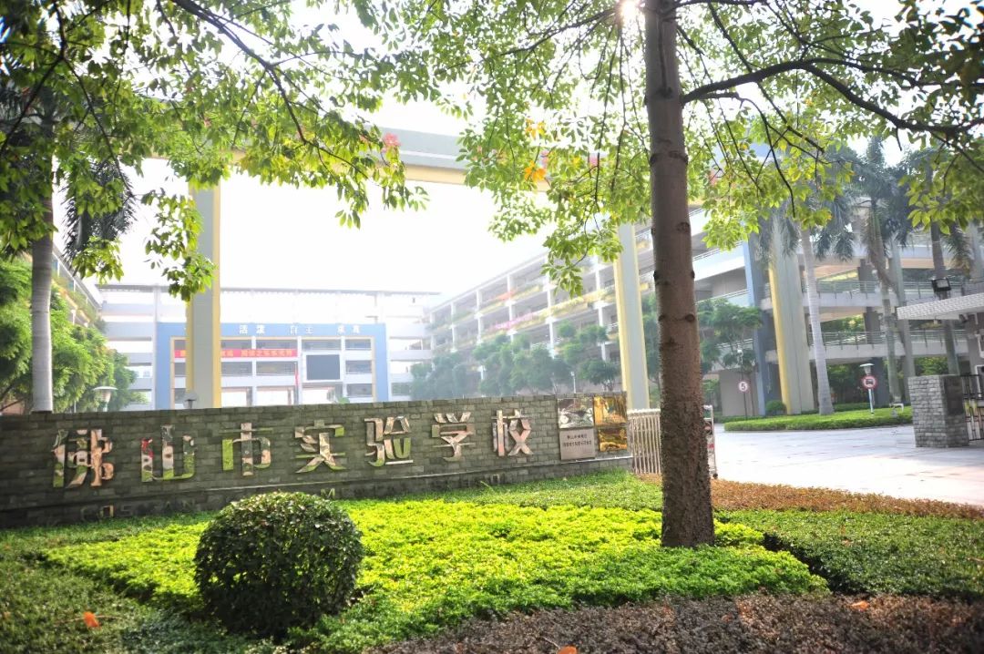 佛山市实验学校招聘公告