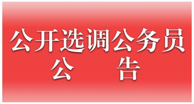 举贤令国家统计局金华调查队面向全省公开选调两名公务员
