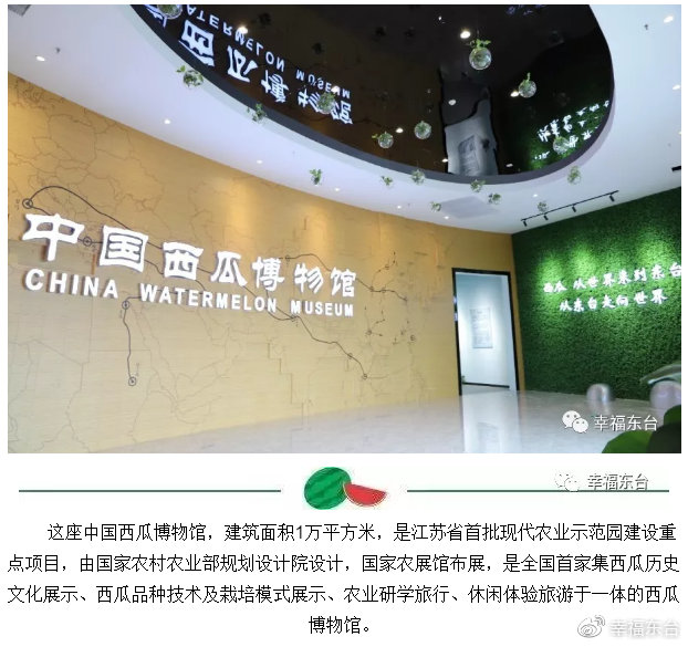 好瓜开大会请全球吃瓜群众速度到东台集合