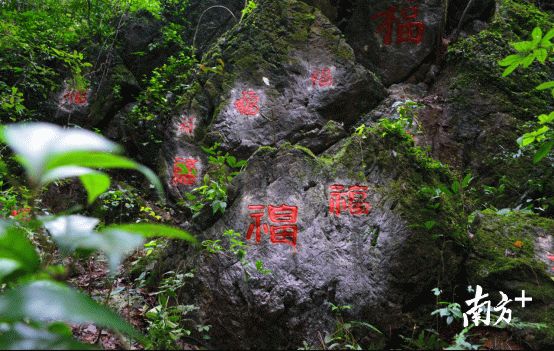 东阳福山景区阿婆宝地图片