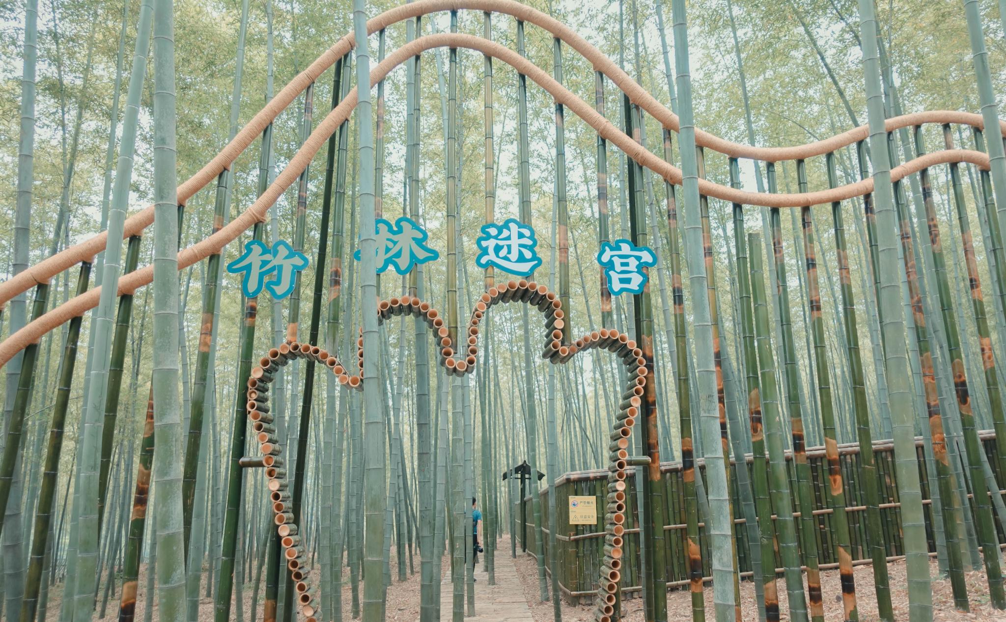 【陆·竹林迷宫里的探秘】