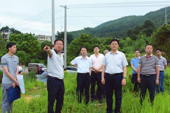 龙岩市领导到武平县调研双龙铁路龙岩至武平段前期工作