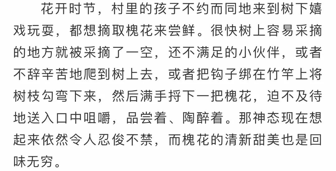 到了五月槐花盛開的時節,那串串風鈴般的槐花再次搖響了我的童年時光