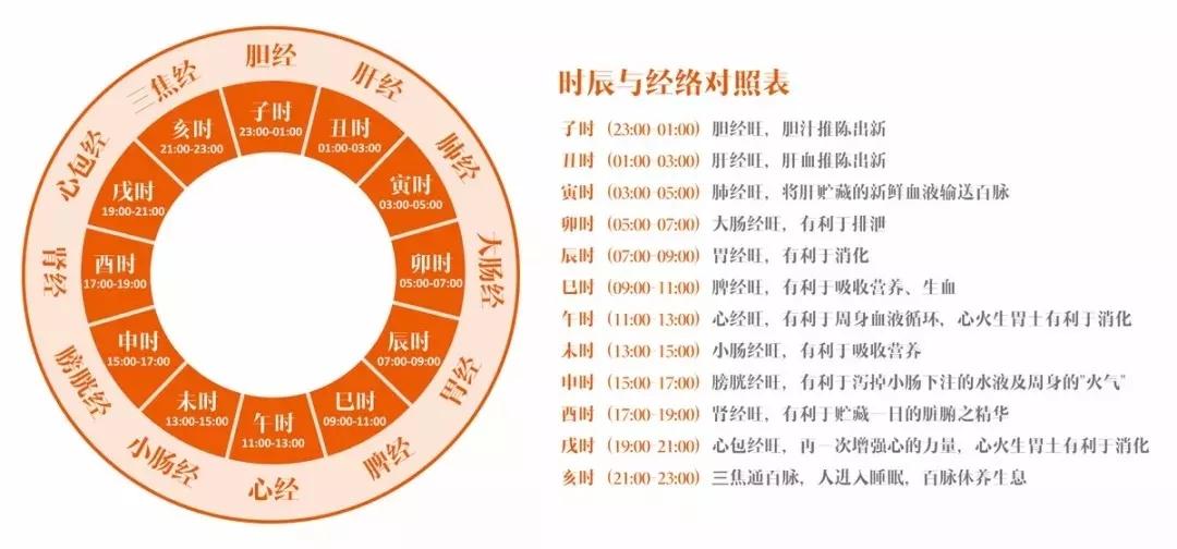 十二經絡這樣記憶超簡單_人體